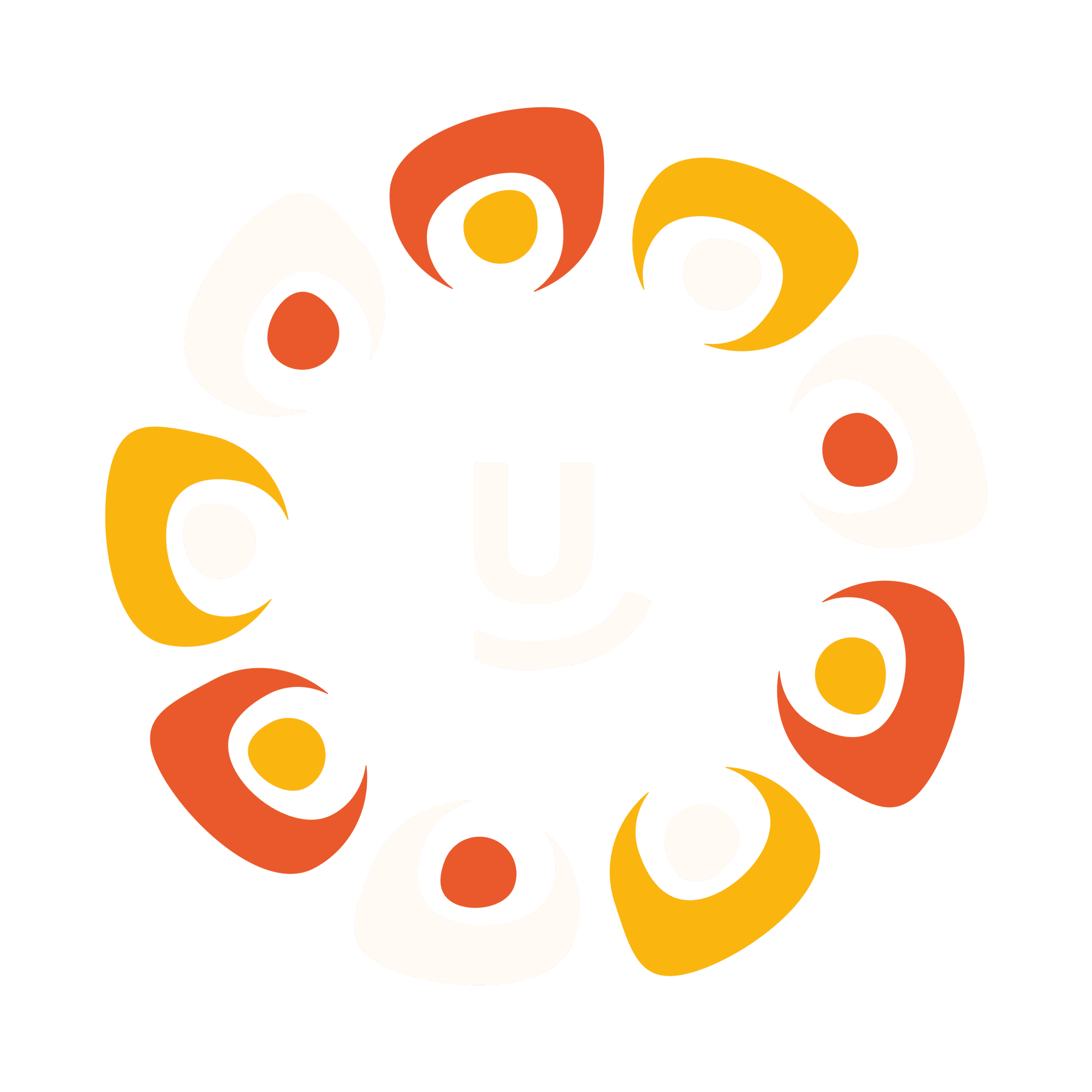 Universal Sport Sovizzo